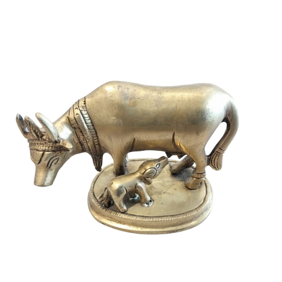 Kamdhenu Plain - Image 2